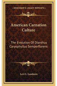 American Carnation Culture
