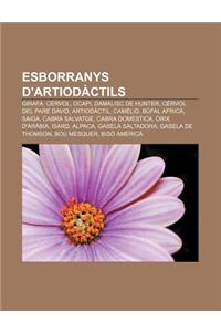 Esborranys D'Artiodactils