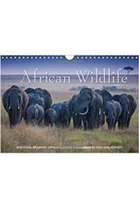 Emotional Moments: African Wildlife / UK-Version 2017