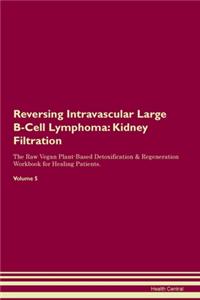 Reversing Intravascular Large B-Cell Lymphoma: Kidney Filtration The Raw Vegan Plant-Based Detoxification & Regeneration Workbook for Healing Patients. Volume 5