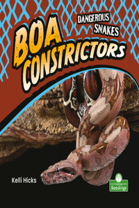 Boa Constrictors