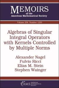 Algebras of Singular Integral Operators with Kernels Controlled by Multiple Norms