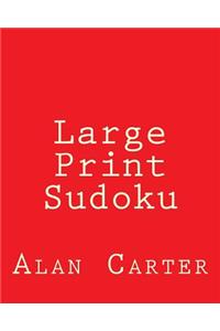 Large Print Sudoku
