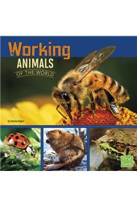 Working Animals of the World