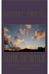 Soar or Walk