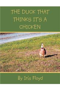 Duck That Thinks It's a Chicken