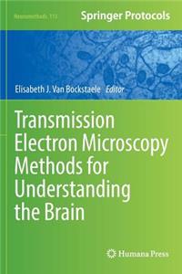 Transmission Electron Microscopy Methods for Understanding the Brain