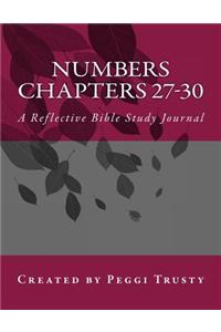 Numbers, Chapters 27-30