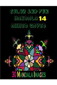 Color And Fun Mandala 14