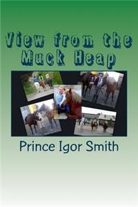 View from the Muck Heap