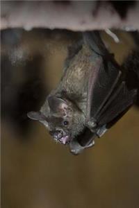 Fruit Bat Journal