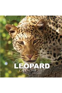 Leopard Calendar 2017
