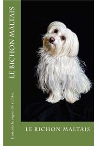 Le bichon maltais