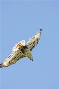 Soaring High