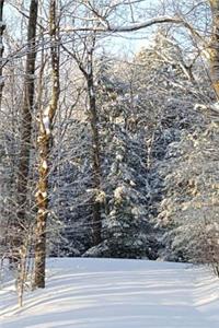 Sunlight Shadows Winter Day Journal