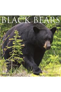 Black Bears 2019 Wall Calendar
