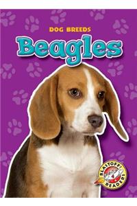 Beagles