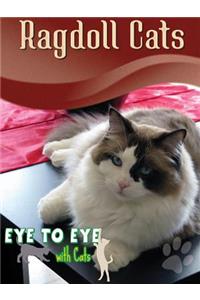Ragdoll Cats