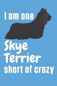 I am one Skye Terrier short of crazy