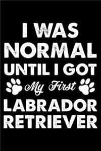 I Was Normal Until I Got My First Labrador Retriever