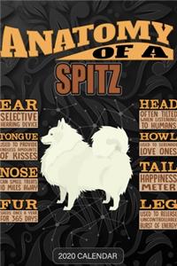 Anatomy Of A Spitz