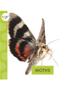 Moths