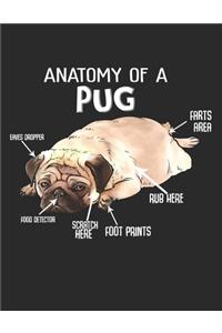 Anatomy of a Pug