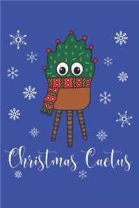 Christmas Cactus