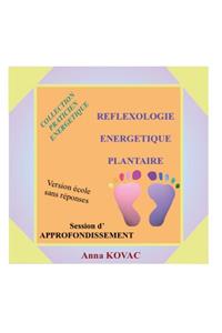 Manuel Ecole Reflexologie Energetique Plantaire Approfondissement