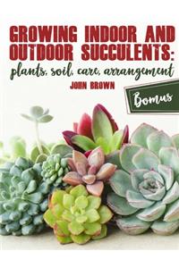 Growing Indoor and Outdoor Succulents