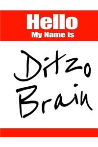 Hello My Name Is Ditzo Brain: Funny Phrase Discreet Internet Website Password Organizer Book