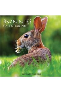 Bunnies Calendar 2019