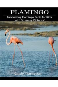 Flamingo: Fascinating Flamingo Facts for Kids with Stunning Pictures!