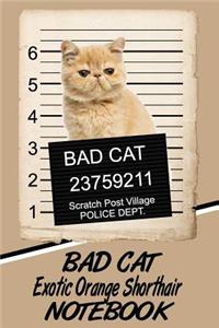 Bad Cat Exotic Orange Shorthair Notebook