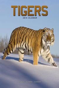 Tigers Calendar 2019