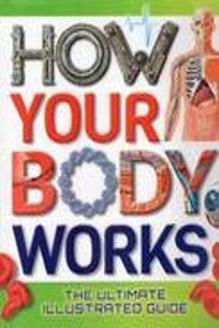 HOW YOUR BODY WORKS