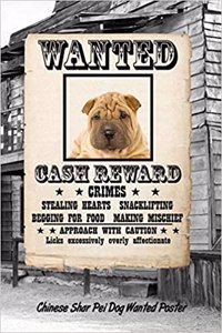 Chinese Shar-Pei Dog Wanted Poster