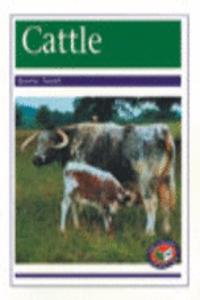 Cattle PM Non Fiction Animal Facts Level 20&21 Farm Animals