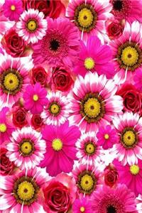 Gerber Daisy Journal