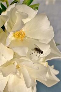 Fly On A Flower Notebook