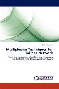 Multiplexing Techniques for Ad Hoc Network