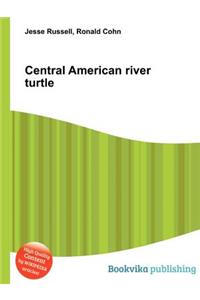Central American River Turtle