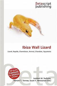 Ibiza Wall Lizard