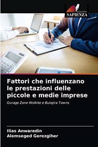 Fattori che influenzano le prestazioni delle piccole e medie imprese