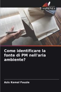 Come identificare la fonte di PM nell'aria ambiente?