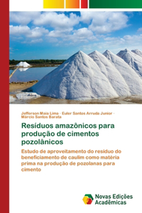 Resíduos amazônicos para produção de cimentos pozolânicos