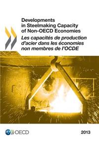 Developments in Steelmaking Capacity of Non-OECD Economies 2013