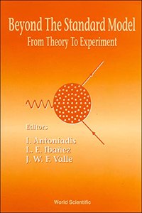 Beyond The Standard Model: From Theory To Experiment