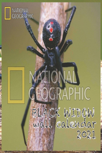Black Widow Wall Calendar 2021