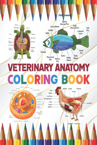 Veterinary Anatomy Coloring Book